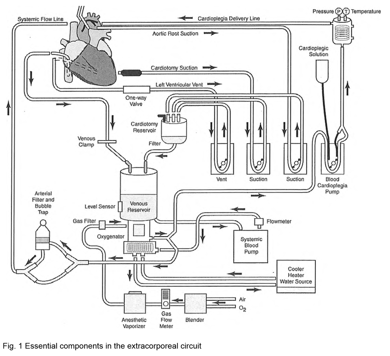 image-1-x80-y59.png